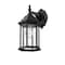 Z-Lite Waterdown 1 Light Outdoor Wall Light, Black & Clear Beveled T21BK - alternate 8